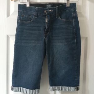 Curve Appeal Denim Shorts